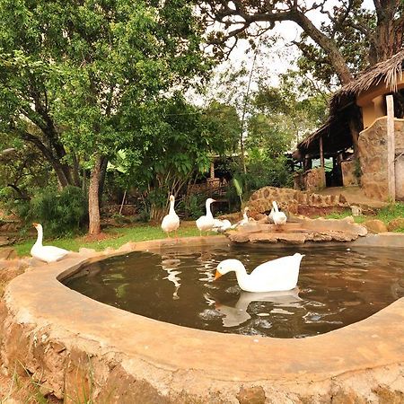 Naiberi River Campsite & Resort Eldoret Eksteriør bilde