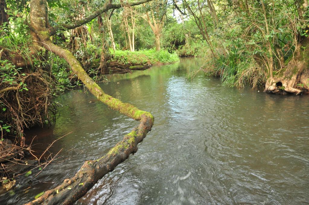 Naiberi River Campsite & Resort Eldoret Eksteriør bilde